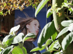 003 - im Busch da tut sich was